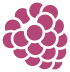 Boysenberry