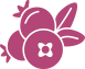 Boysenberry